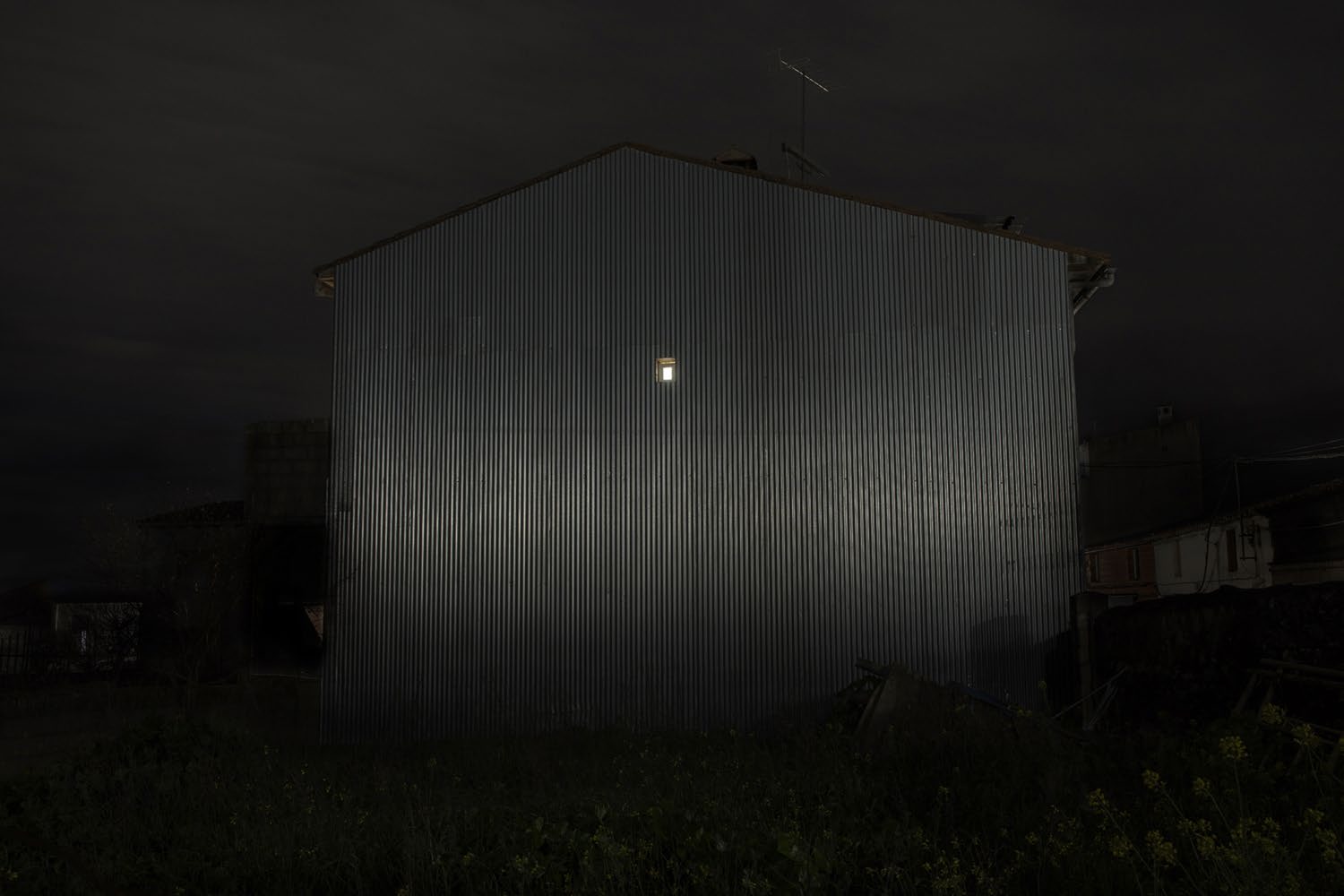 Where Fireflies Unfold
